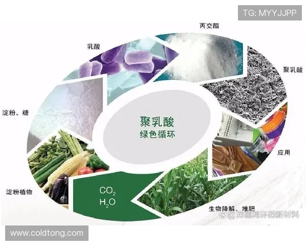 环保创新助力可持续发展 新型生物降解运动鞋材料问世可降解率达95%